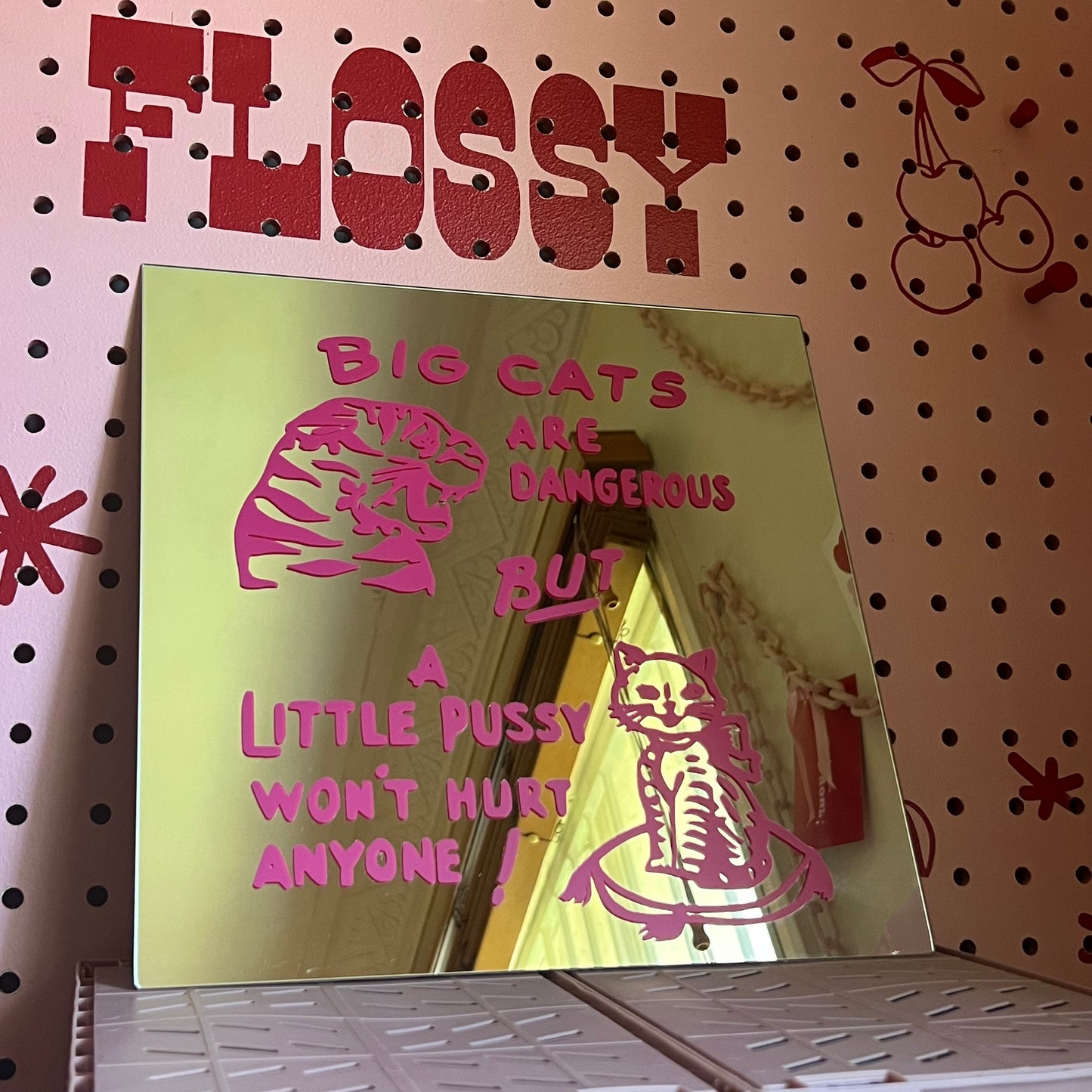 Big Cats Are Dangerous - Upcycled Square Mirrors - Pink or Black
