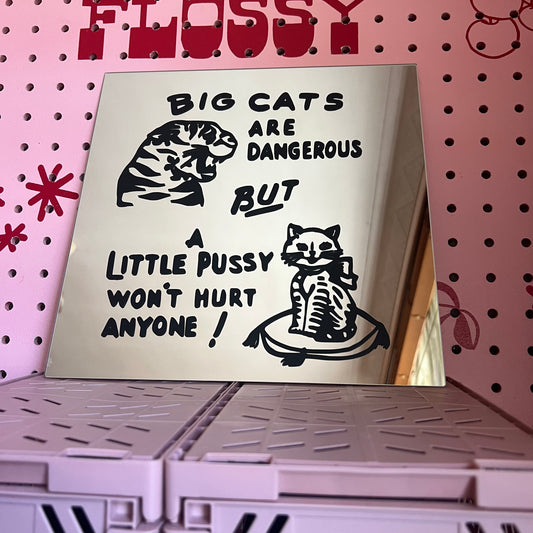 Big Cats Are Dangerous - Upcycled Square Mirrors - Pink or Black