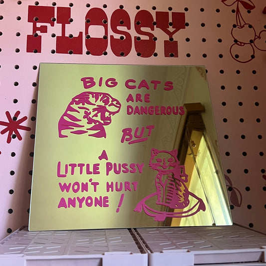 Big Cats Are Dangerous - Upcycled Square Mirrors - Pink or Black
