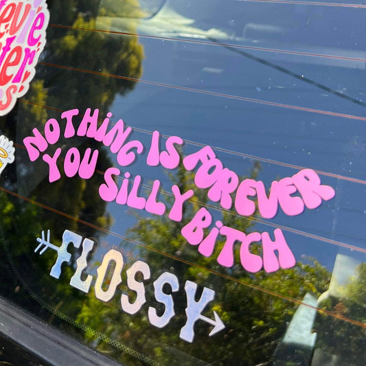 Nothing Is Forever You Silly Bitch - Permanent Decal